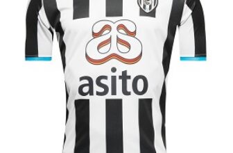 heracles almelo thuisshirt 2017-2018