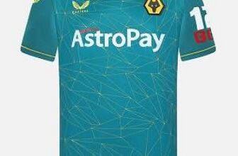 castore wolves uitshirt 2022-2023