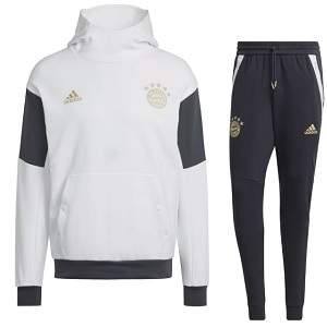 ergens Vul in Onmiddellijk adidas Bayern Munchen Hoodie Trainingspak 2023-24 | Kleding