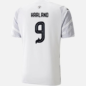haaland manchester city puma the dragon voetbalshirt haaland manchester city puma the dragon voetbalshirt