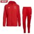 Denemarken Thuisshirt 2020-2021