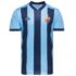Ierland shirt 2018-2019