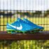 Neymar Mini Tenue 2018-2019