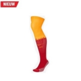 Nike Galatasaray Voetbalkousen Thuis 2020-2021